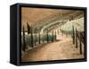 Portugal, Douro Valley. Backcountry road through the vineyards-Terry Eggers-Framed Stretched Canvas