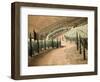 Portugal, Douro Valley. Backcountry road through the vineyards-Terry Eggers-Framed Photographic Print