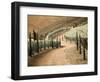 Portugal, Douro Valley. Backcountry road through the vineyards-Terry Eggers-Framed Photographic Print