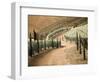 Portugal, Douro Valley. Backcountry road through the vineyards-Terry Eggers-Framed Photographic Print