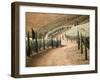 Portugal, Douro Valley. Backcountry road through the vineyards-Terry Eggers-Framed Photographic Print