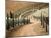 Portugal, Douro Valley. Backcountry road through the vineyards-Terry Eggers-Mounted Photographic Print