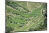 Portugal, Douro Valley, Hillside Vineyard-Rob Tilley-Mounted Photographic Print