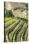 Portugal, Douro Valley, Terraced Vineyards Lining the Hills-Terry Eggers-Stretched Canvas