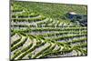 Portugal, Douro Valley, Terraced Vineyards Lining the Hills-Terry Eggers-Mounted Photographic Print