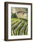 Portugal, Douro Valley, Terraced Vineyards Lining the Hills-Terry Eggers-Framed Photographic Print