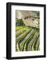 Portugal, Douro Valley, Terraced Vineyards Lining the Hills-Terry Eggers-Framed Photographic Print