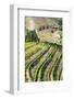 Portugal, Douro Valley, Terraced Vineyards Lining the Hills-Terry Eggers-Framed Photographic Print