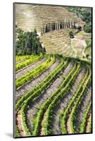 Portugal, Douro Valley, Terraced Vineyards Lining the Hills-Terry Eggers-Mounted Photographic Print