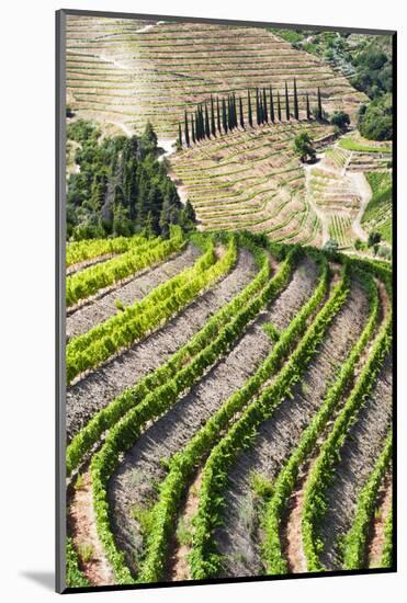 Portugal, Douro Valley, Terraced Vineyards Lining the Hills-Terry Eggers-Mounted Photographic Print