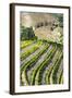 Portugal, Douro Valley, Terraced Vineyards Lining the Hills-Terry Eggers-Framed Photographic Print