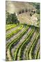 Portugal, Douro Valley, Terraced Vineyards Lining the Hills-Terry Eggers-Mounted Photographic Print