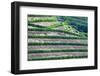 Portugal, Douro Valley, Terraced Vineyards Lining the Hills-Terry Eggers-Framed Photographic Print