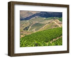 Portugal, Douro Valley. Terraced vineyards lining the hills-Terry Eggers-Framed Photographic Print