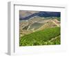 Portugal, Douro Valley. Terraced vineyards lining the hills-Terry Eggers-Framed Photographic Print