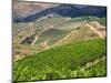 Portugal, Douro Valley. Terraced vineyards lining the hills-Terry Eggers-Mounted Photographic Print