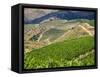 Portugal, Douro Valley. Terraced vineyards lining the hills-Terry Eggers-Framed Stretched Canvas