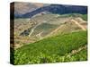 Portugal, Douro Valley. Terraced vineyards lining the hills-Terry Eggers-Stretched Canvas