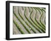 Portugal, Douro Valley. Terraced vineyards lining the hills.-Julie Eggers-Framed Photographic Print