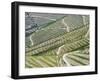 Portugal, Douro Valley. Terraced vineyards lining the hills.-Julie Eggers-Framed Photographic Print