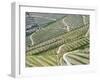 Portugal, Douro Valley. Terraced vineyards lining the hills.-Julie Eggers-Framed Photographic Print