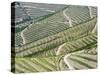 Portugal, Douro Valley. Terraced vineyards lining the hills.-Julie Eggers-Stretched Canvas