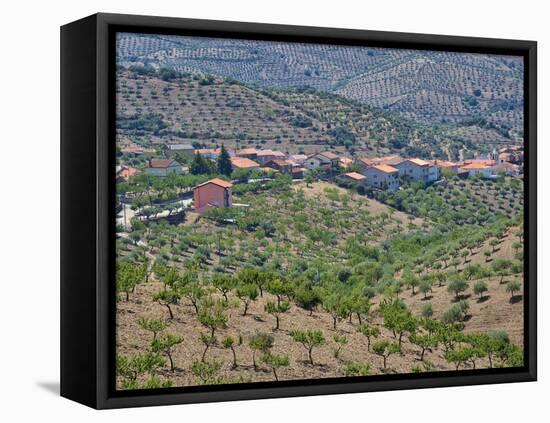 Portugal, Douro Valley. The hillside town of Castelo Mellor-Terry Eggers-Framed Stretched Canvas