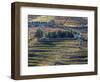 Portugal, Douro Valley. The vineyards in autumn on terraced hillside.-Julie Eggers-Framed Photographic Print