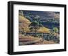 Portugal, Douro Valley. The vineyards in autumn on terraced hillside.-Julie Eggers-Framed Photographic Print