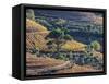 Portugal, Douro Valley. The vineyards in autumn on terraced hillside.-Julie Eggers-Framed Stretched Canvas