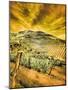 Portugal, Douro Valley. Vineyards and Olive Groves-Terry Eggers-Mounted Photographic Print