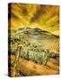 Portugal, Douro Valley. Vineyards and Olive Groves-Terry Eggers-Stretched Canvas