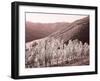 Portugal, Douro Valley. Vineyards draping the hills-Terry Eggers-Framed Photographic Print