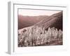 Portugal, Douro Valley. Vineyards draping the hills-Terry Eggers-Framed Photographic Print