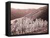 Portugal, Douro Valley. Vineyards draping the hills-Terry Eggers-Framed Stretched Canvas