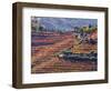 Portugal, Douro Valley. Vineyards in autumn, terraced on hillsides above the Douro River.-Julie Eggers-Framed Photographic Print