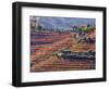 Portugal, Douro Valley. Vineyards in autumn, terraced on hillsides above the Douro River.-Julie Eggers-Framed Photographic Print