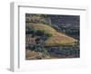 Portugal, Douro Valley. Vineyards in autumn, terraced on hillsides above the Douro River.-Julie Eggers-Framed Photographic Print