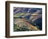 Portugal, Douro Valley. Vineyards in autumn, terraced on hillsides above the Douro River.-Julie Eggers-Framed Photographic Print