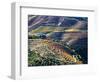 Portugal, Douro Valley. Vineyards in autumn, terraced on hillsides above the Douro River.-Julie Eggers-Framed Photographic Print