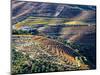 Portugal, Douro Valley. Vineyards in autumn, terraced on hillsides above the Douro River.-Julie Eggers-Mounted Photographic Print