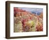 Portugal, Douro Valley. Vineyards in autumn, terraced on hillsides above the Douro River.-Julie Eggers-Framed Photographic Print