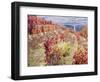 Portugal, Douro Valley. Vineyards in autumn, terraced on hillsides above the Douro River.-Julie Eggers-Framed Photographic Print