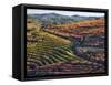 Portugal, Douro Valley. Vineyards in autumn, terraced on hillsides above the Douro River.-Julie Eggers-Framed Stretched Canvas