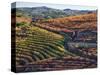 Portugal, Douro Valley. Vineyards in autumn, terraced on hillsides above the Douro River.-Julie Eggers-Stretched Canvas