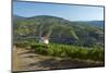 Portugal, Douro Valley, Wine Region, Panorama-Chris Seba-Mounted Photographic Print