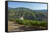 Portugal, Douro Valley, Wine Region, Panorama-Chris Seba-Framed Stretched Canvas