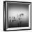 Portugal Dream 1 BW-Moises Levy-Framed Giclee Print