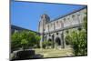 Portugal, Evora, Cathedral of Evora-Jim Engelbrecht-Mounted Photographic Print