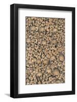 Portugal, Evora, St. Francis Church, Bone Chapel-Jim Engelbrecht-Framed Photographic Print